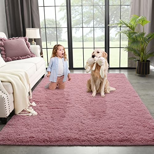  Blush Area Rug for Bedroom Living Room Carpet Home Decor, Upgraded 4x5.9 Cute 