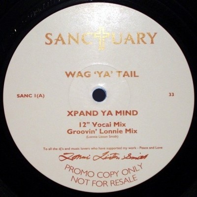 Wag 'Ya' Tail - Xpand Ya Mind, 12'', (Vinyl)