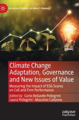 Climate Change Adaptation, Governance and New Issues of Value: Measuring the
