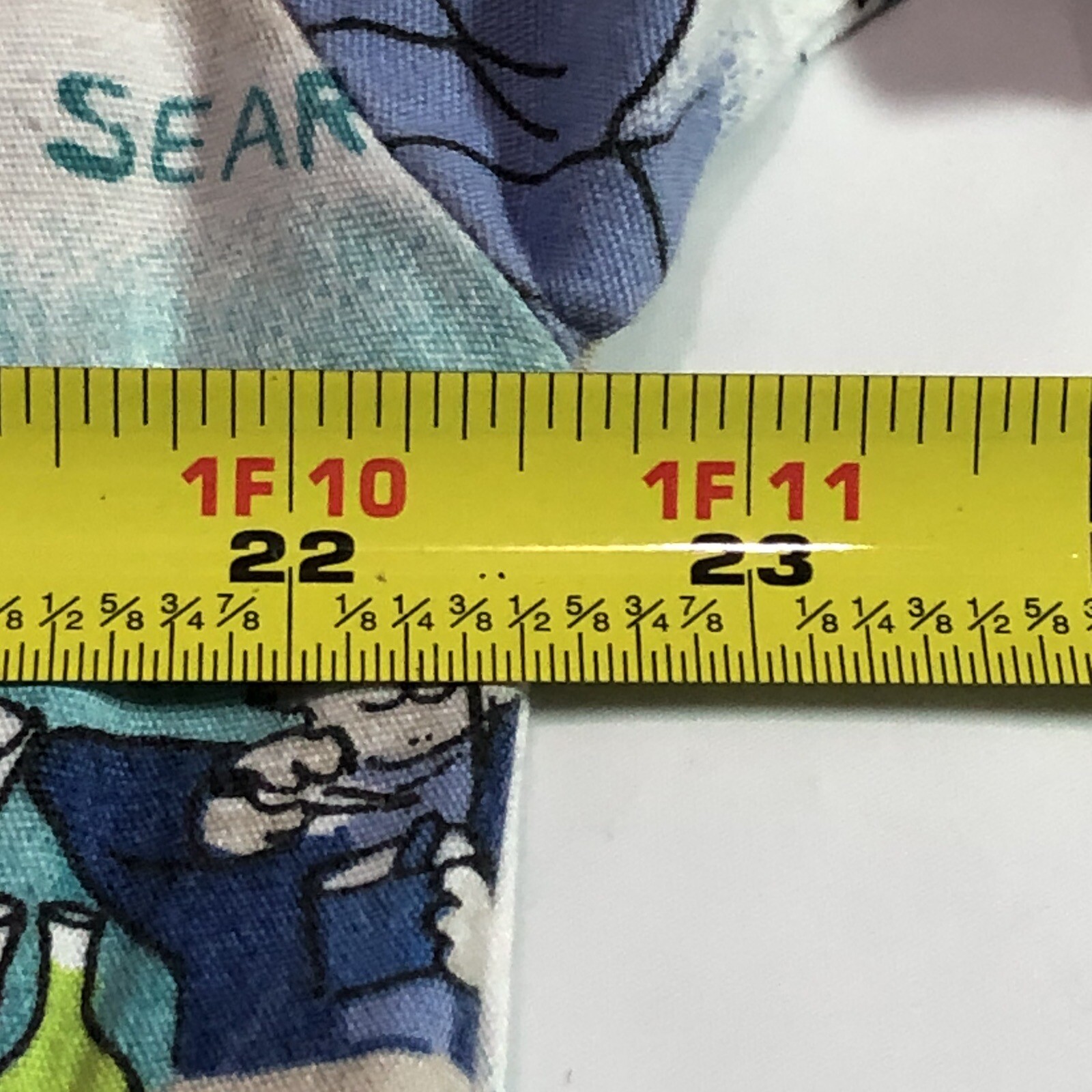 Picture 10 of 12