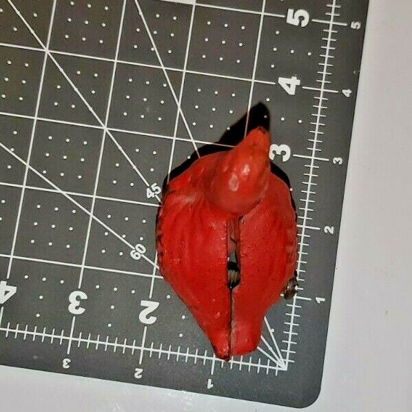 Vintage Red Goose Shoes Promotional Cast Iron Bank 4 Inches Vintage Red Goose Shoes Promotional Cast Iron Bank 4 Inches