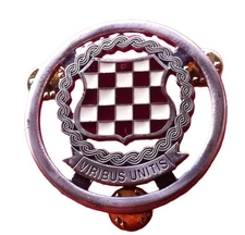 Viribus Unitis Badge • HVO • Croatia 1990s Conflict Era • Rare
