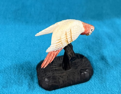 Rare Pet Parrot Hand Carved on Wood Stand Large Dollhouse Miniature - Picture 14 of 24