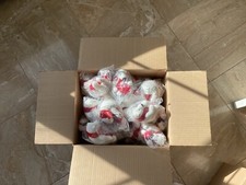 Lot of 54 NEW Coca Cola Coke 4" Plush Polar Bear w/ Red Scarf 4 Stuffed Animal