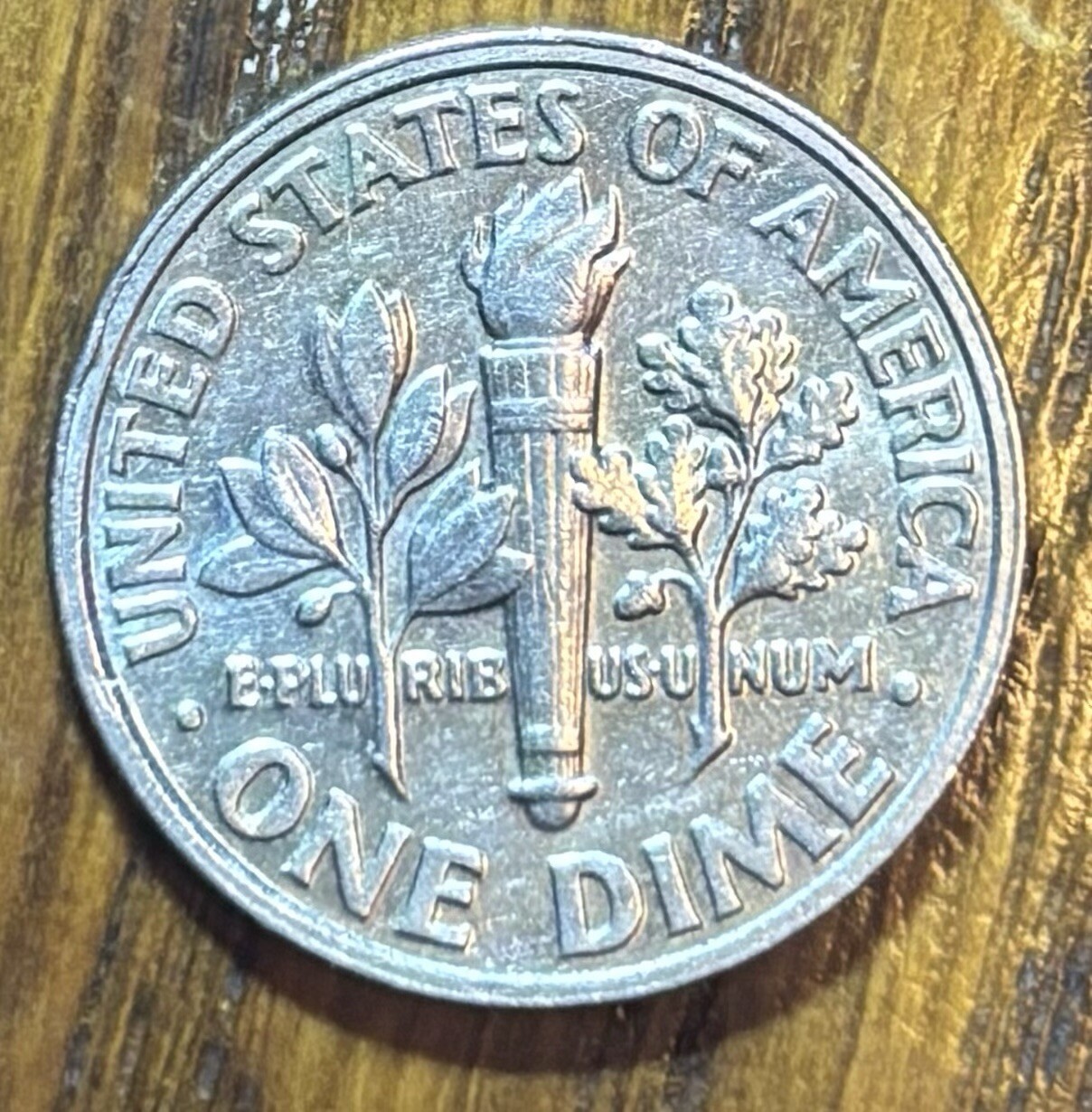 Picture 6 of 6
