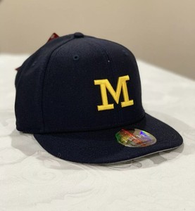 michigan jordan hat
