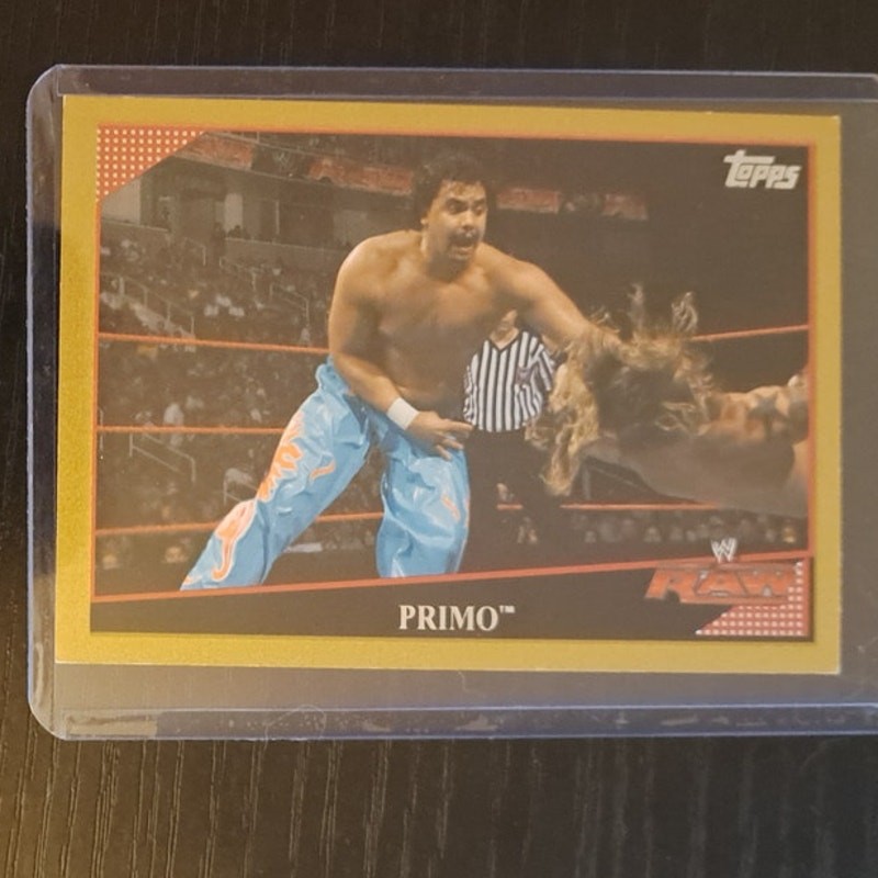 Topps 2009 WWE Primo #6 Gold Parallel Card  246/500 with Top Loader