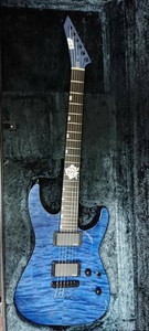 Esp Esp M Ii Sayo Ii Roselia Electric Guitar Used Good Condition Roselia With Ha Ebay
