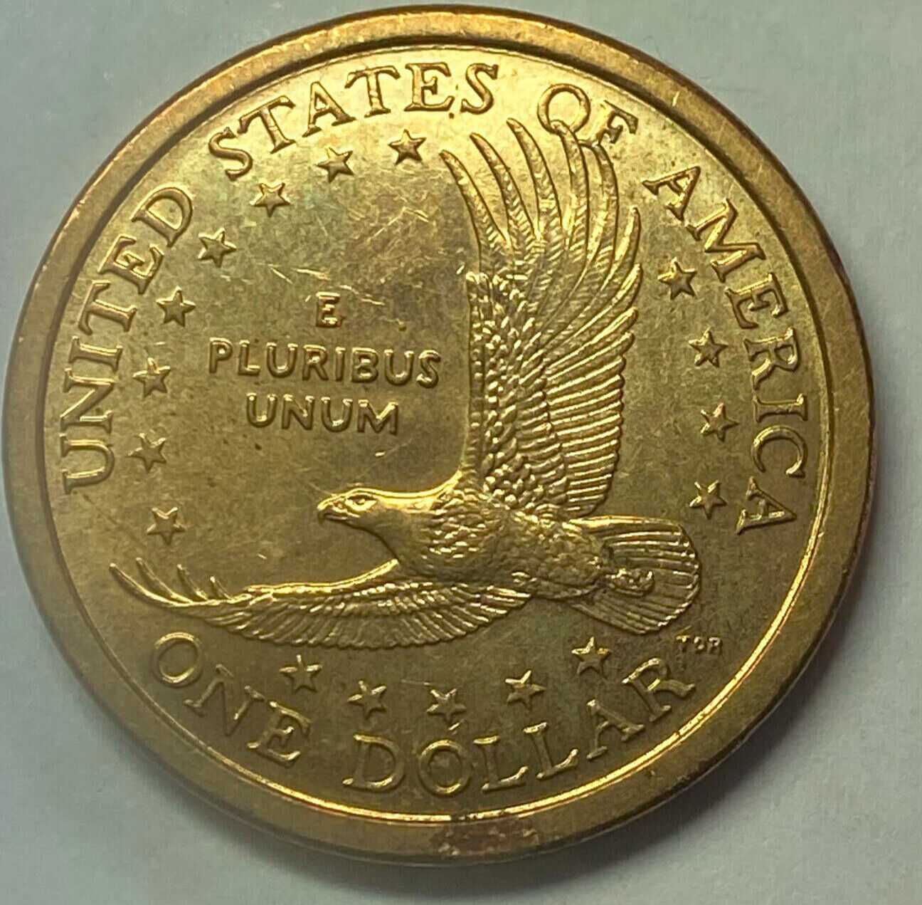 Picture 5 of 5