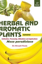 PANDA - HERBAL AND AROMATIC PLANTS - 27. Musa paradisiaca Banana - h - X555z