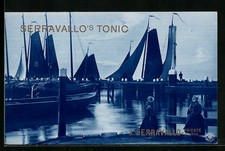 AK Serravallo's Tonic, Chinove vino se Zelezem, J. Serravallo-Trieste