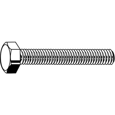 GRAINGER APPROVED M55010.160.0045 HxHdCpScrw,316 SS,45mm,M16-2.00,10PK 25DH31