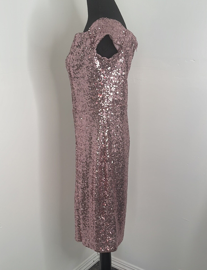 B .Smart dress Rose Gold sequin drees 14w