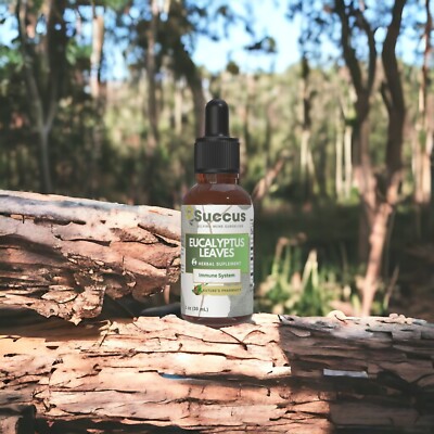 Eucalyptus Leaf Tincture - Immune System (Alcohol Free)