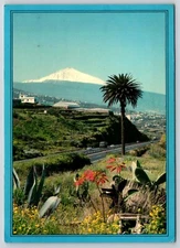 Postcard Islas Canarias Canary Islands Mountain and Street View 1987