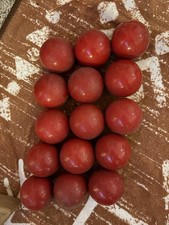 Pool Table Red Balls Qty 15 Vintage Billiards