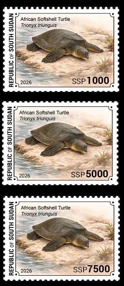SOUTH SUDAN 2026 SET 3V - WILDLIFE - TURTLES TURTLE REPTILES - MNH - Image 1 of 1