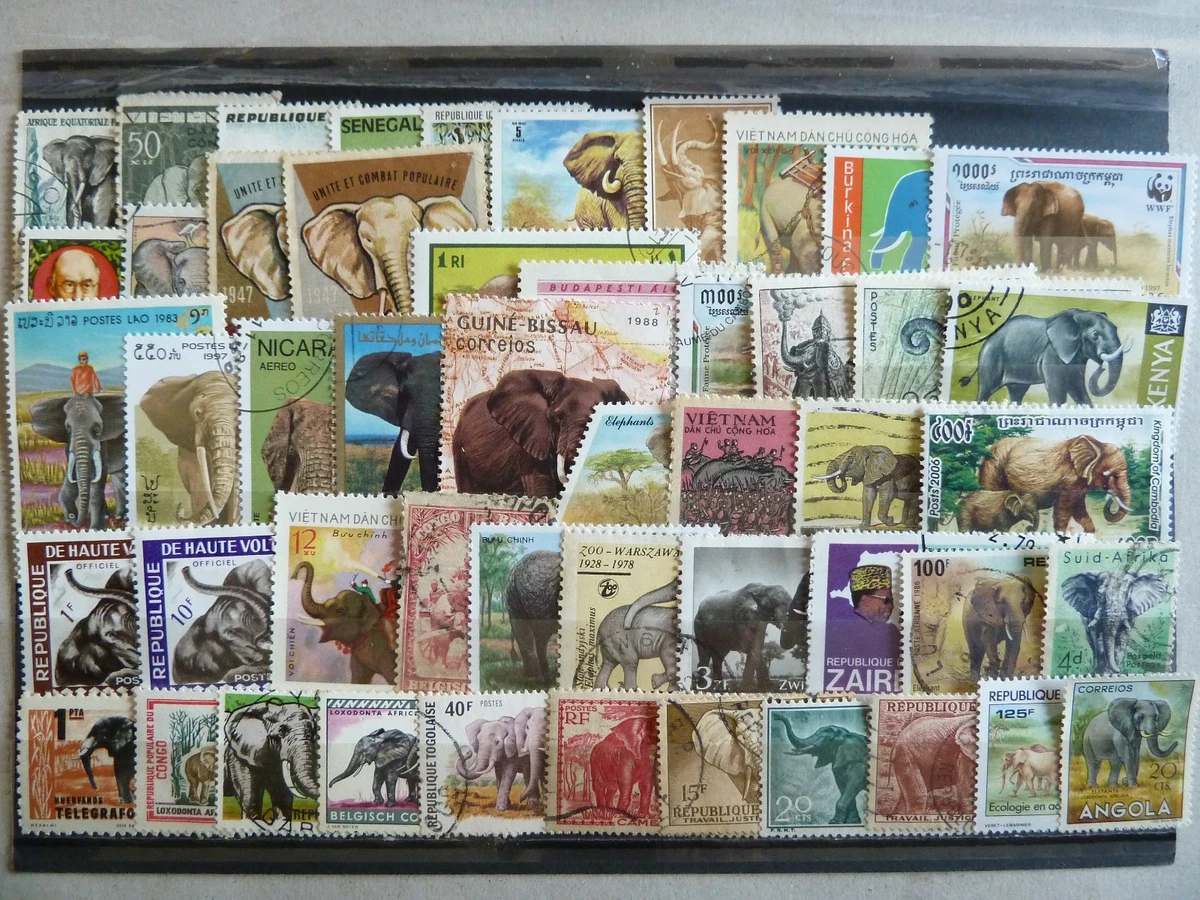 Tigres 25 timbres poste de collection