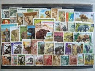 LOT DE 50 TIMBRES DIFFERENTS THEME "LES ELEPHANTS"