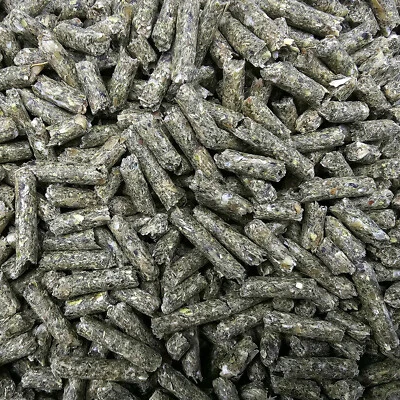 Berkel Chinchilla-Gold-KR 25kg