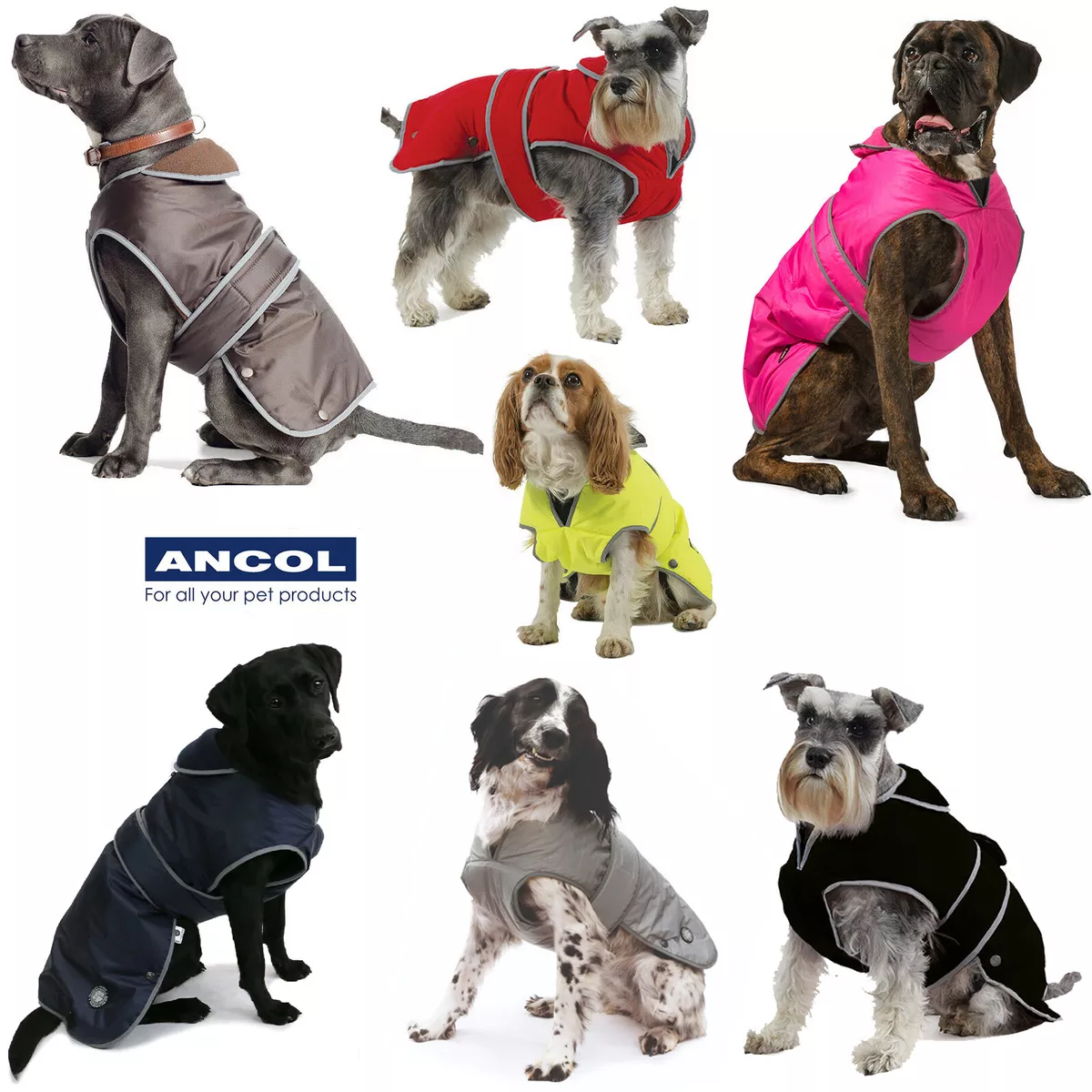 Designer Pet Accessories, Designer Dog Coats