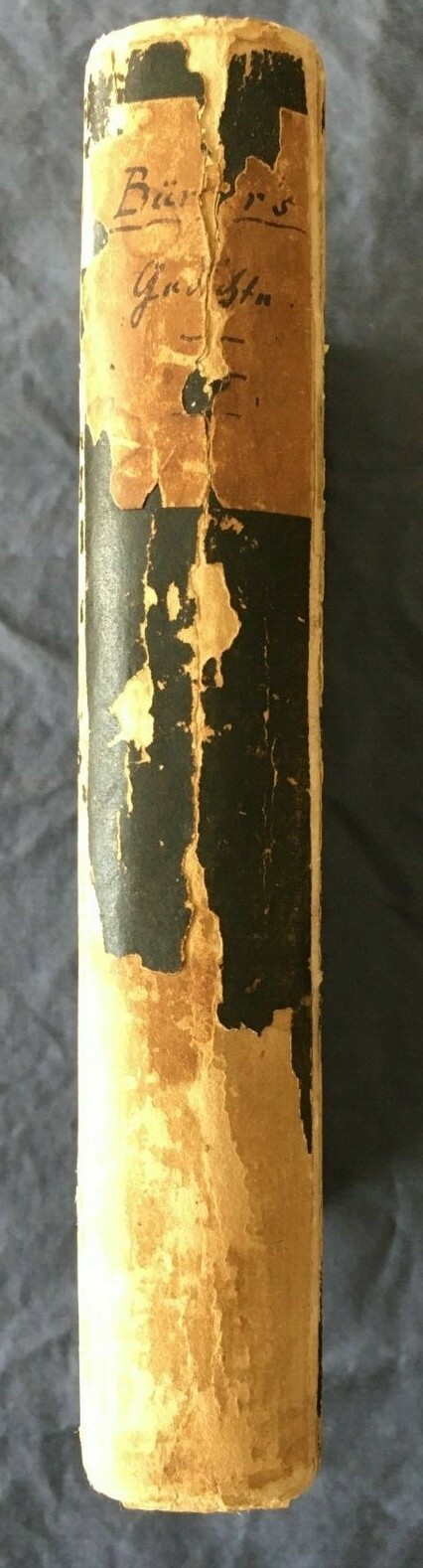 Picture 2 of 12