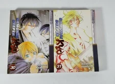 Samurai Deeper Kyo, Vol. 30 & 31 English Manga by Akimine Kamijyo Rare Free Ship