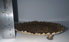 Bild 4 von 6