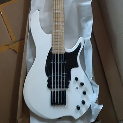 Private Custom 5 String Gloss White Electric Bass Guitar Active SH Pickup ShipUS