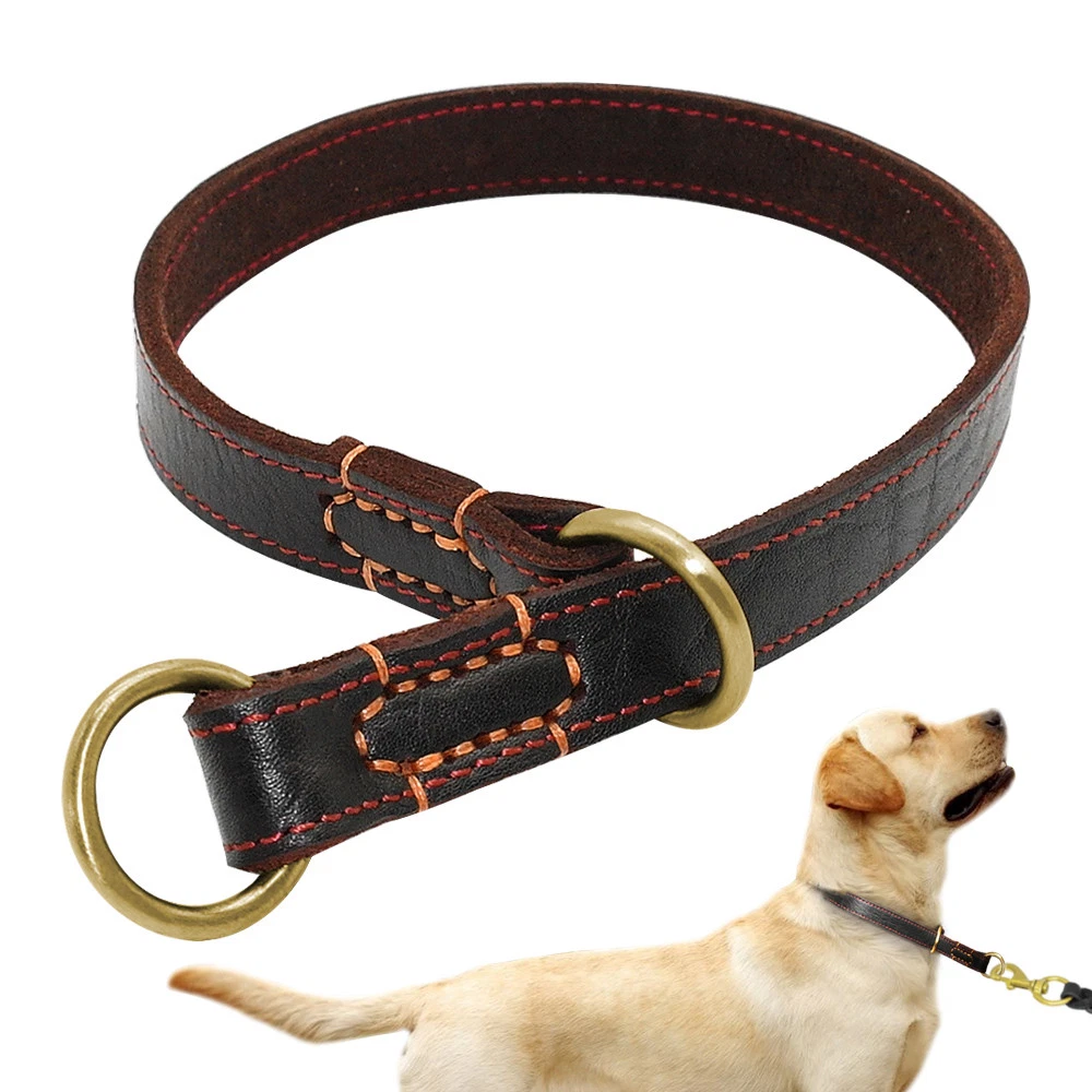 Training collars for big dogs sales
