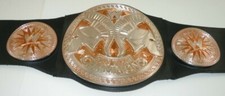 WWE Raw Tag Team Champions Belt Championship Wrestling Title WWF 39 Inch 2010