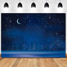 Night Sky Photography Background Winter Night Snowfall Snowflake Moon Blurry ...