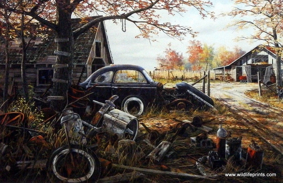 WILDLIFE PRINTS Ken Zylla Another Mans Treasure Junk Yard Print 12" x 8"