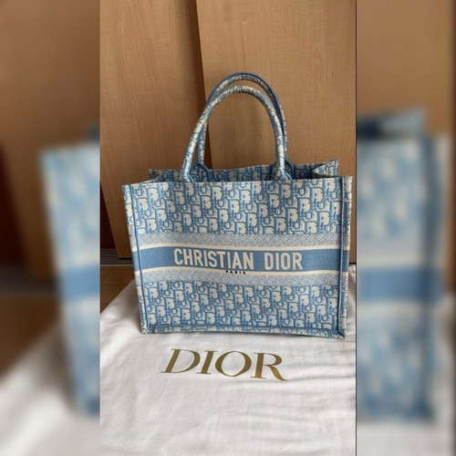 Christian Dior Book Tote Bag Blue Light Blue Oblique Embroidered Canvas Dustbag