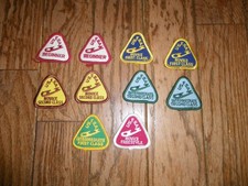 10 Vintage USA Figure Skating Patches USFSA Beginner Novice First Second Class