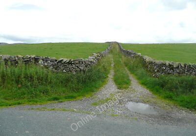 Foto 6x4 Feldzugang Spur von Brunton Road, Lawkland Feldgrenzen c2010