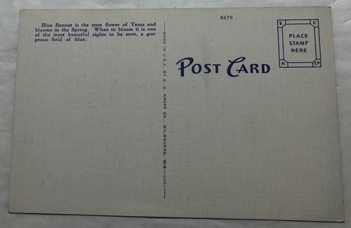 Texas In The Spring Poem. Postcard (L2) - Picture 2 of 2