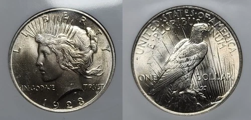 1923 P Peace Silver Dollar $1 NGC MS 64 Older NGC Holder