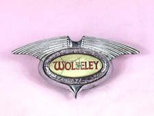 Grill badge light up type