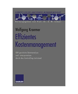 Effizientes Kostenmanagement: EDV-gestützte Datenanalyse und -interpretation du