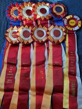 Washington State Hunter Jumper Assn. Horse Show Ribbons Awards Equestrian Events