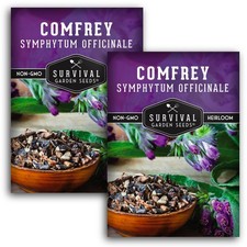 Comfrey Seeds for Planting - Symphytum Officinale Medicinal green, purple