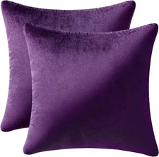 MIULEE Velvet Throw Pillow Covers 18x18 Inch, Pack of 2 - Eggplant Purple, Super
