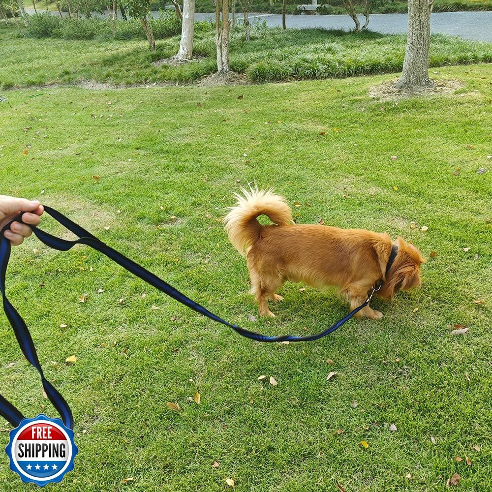 Mi Metty Nylon Dog Training Leash,Traction Rope,8ft Long,2Pcs Shock-Absorbing