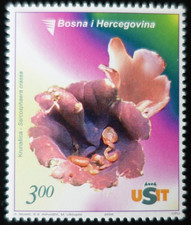 TIMBRE de BOSNIE-HERZÉGOVINE - CHAMPIGNONS N°517 NEUF ** LUXE MNH