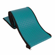 Teal Inground Swimming Pool Rail and Ladder G...