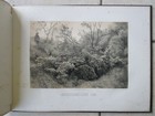 Bild 19 von 24