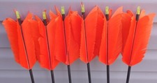6 FLU FLU ARROWS TANGERINE 6 HELICAL FEATHERS PRE INSTALLED NOCKS