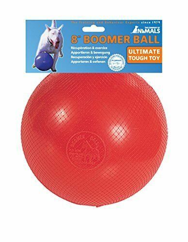 large boomer ball