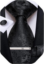 Paisley Ties for Men Silk Necktie and Pocket Square Cufflinks Tie Clip Set Woven